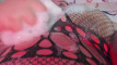 Pratinjau video