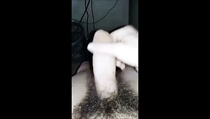 per la padrona e marzia