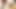 Asiansexdiary sıkı pinay amcığını yalıyor ve sikiyor