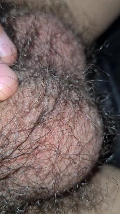 My furry cock