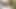 İtaatkar güzel milf – oral seks ve lanet kedi ve eşek