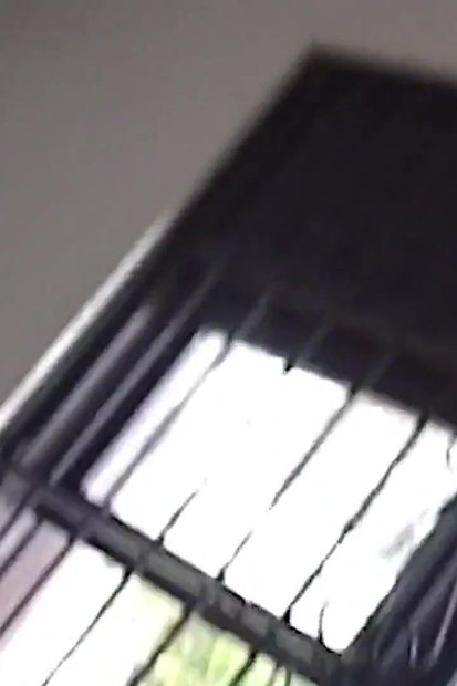 Two Sluts Playing with Each Other