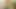 Shooting cum in public park again