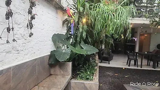 Semakin kamu melihatnya, semakin bikin kamu sange