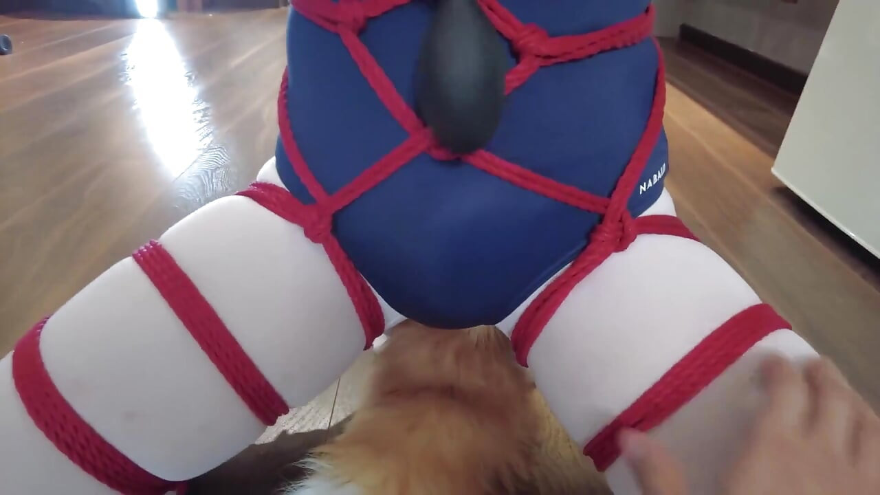 Mz31 - a Girl Tied and Suspended by a Red Rope Reaches Orgasm.