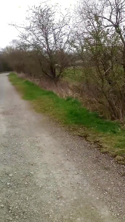In the Nature #1