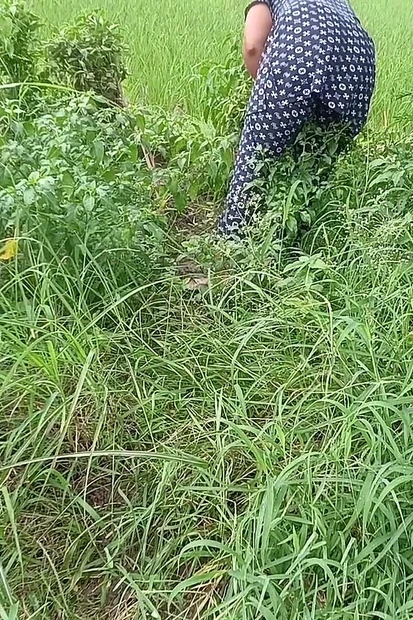 Outdoor Sex Videos Best Seen