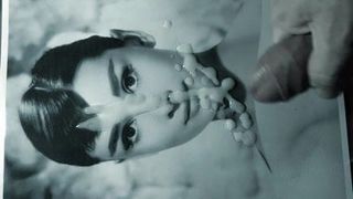 Audrey Hepburn - hołd (HD)