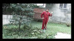 Pregled videozapisa