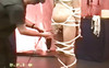 Pregled videozapisa