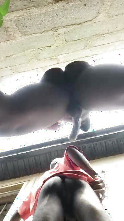 Doggy Bareback Below View