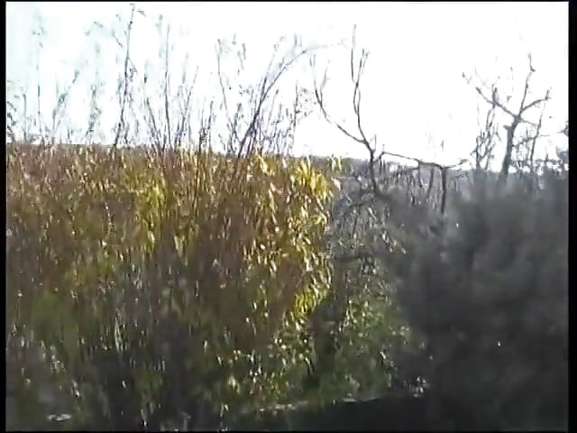 Adorável morena com peitos pequenos se masturbando e recebendo buceta brincada em primeiro plano