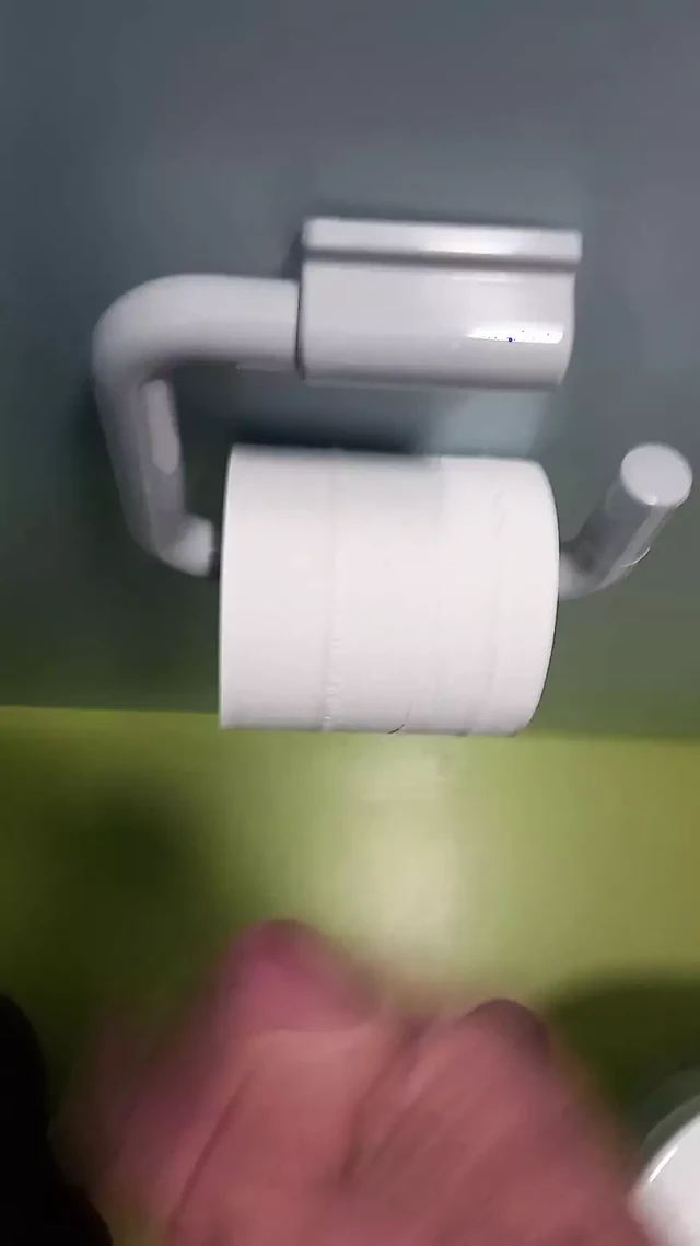 Womens toilet restroom Hotel cumshot on toilet roll
