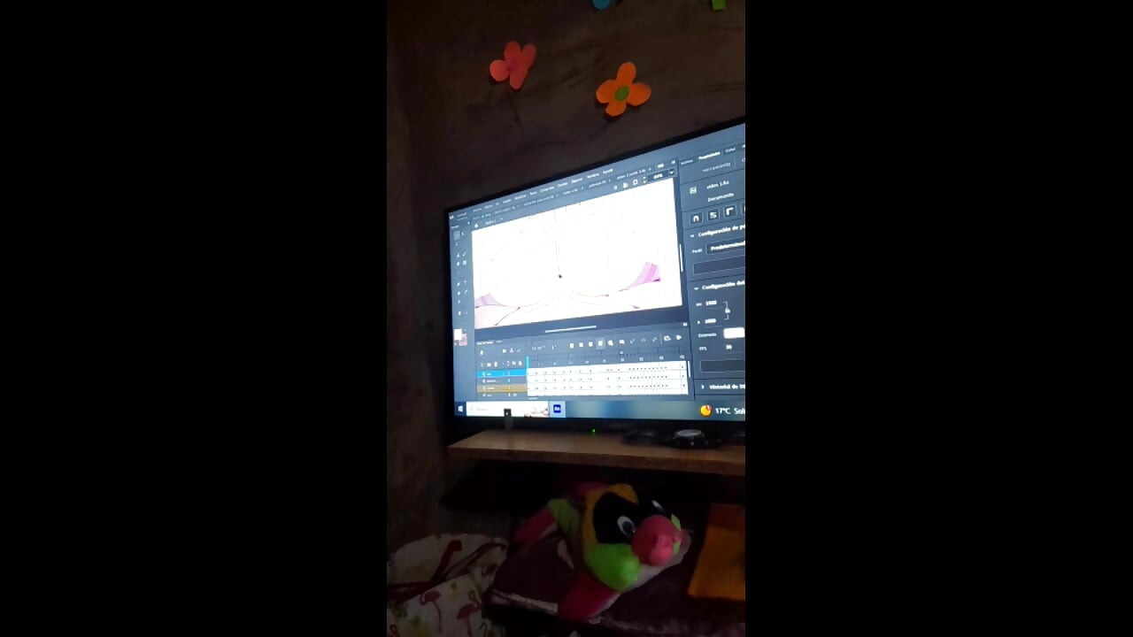 Video de verificacio