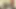 Vintage retro alman amatör - günlük porno dozunuz