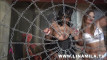 Pratinjau video