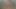 Razigrana djevojka me žestoko jaše dok igramo videoigre i svršava dok moja sperma curi iz pičke