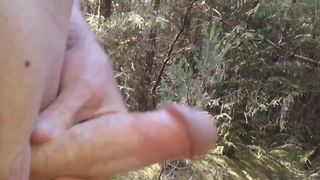 quick wank in the forest