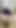 Naked Arab woman