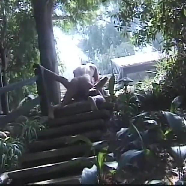 Fekete-fehér nyalás, baszás, nagy faszszopás a kertben