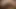 Zenci kraliçenin ormanı sonbaharın en ateşli hatunu yalıyor! Xxx, seks, ilk kez, edepsiz, seksi, çıplak