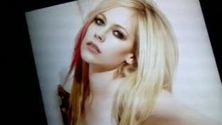 Tribute auf Avril Lavigne