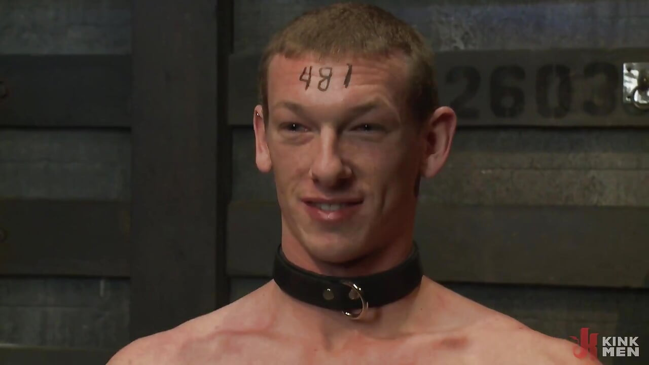 Please Let Me Take His Pain, Sir