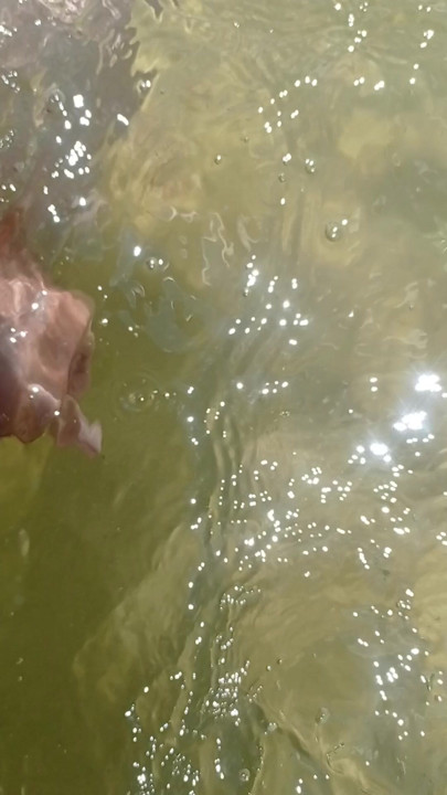 The ocean is cold, if I warmed up my to cum