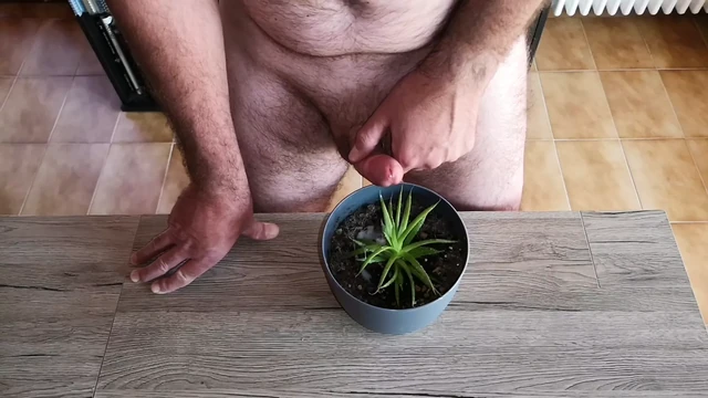 Cicci77 feeds her plants with pee and sperm to make them luxuriant! It is a shame to waste our precious organic liquids!