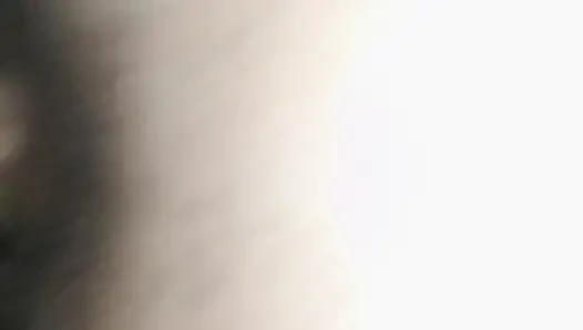the bull fucking my wife's pussy.