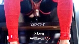 Mary Willows скачет на огромном дилдо с большим черным членом