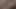 Büyük dildo yolculuğu