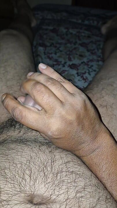 Kata Hua harige Lund