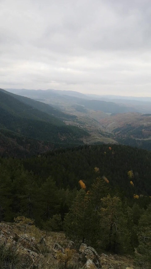 EASY JERKING ON TOP OF ZLATIBOR TORNIK
