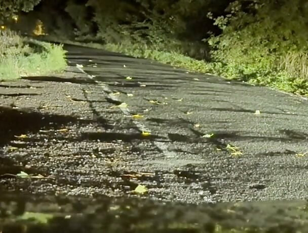 Naked in road and hiding the wrong side of road from safety when car passed