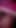 セクシーな黒人トランスがBWCから家に歩いて帰る |クリップ1