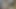 コロンビアのククタでルームメイトと一緒に座っている勃起したペニス