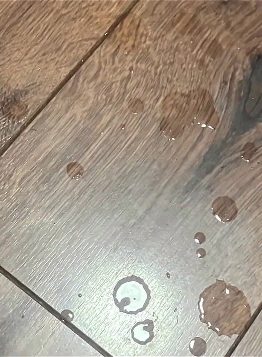 His Big Dick
