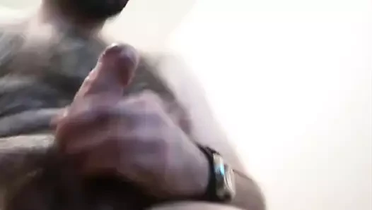 Kıllı ayı bolca döl çekiyor