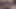 Hentai Uncensored 3D - Tanami x Futanari Blowjob and fucked with creampie