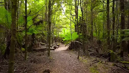 Hintli desi iki arkadaş bir erkekle sert sikişiyor