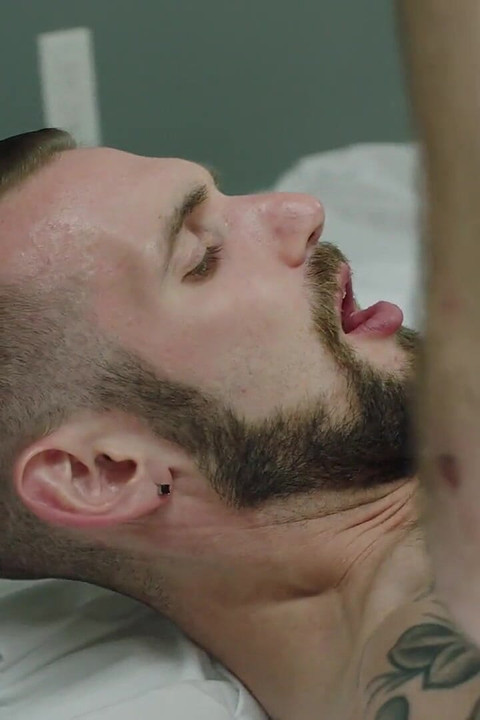 Elements of Desire: License