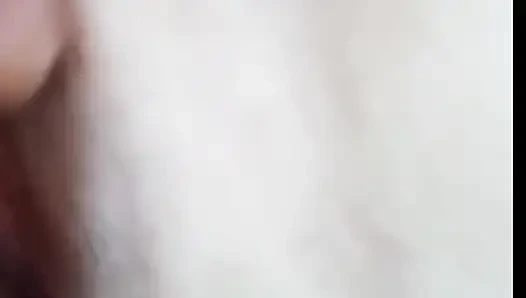 Pussy Becek Endonezya 2026