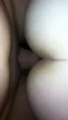 jolie levrette vite fait