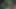 Сервитуты обслуживают в ресторане: байк на публике