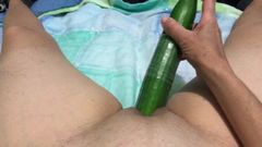 Cucumber & pussy