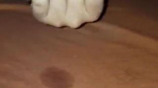 Salope grosse bite noire sperme MILF esclave squirt cocu nympho