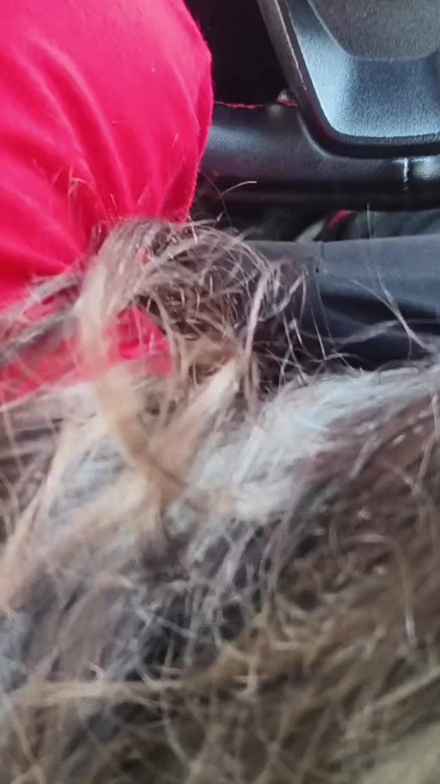 Girlfriend giving blowjob to her boyfriend in car sex in public | Clip 1