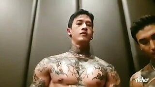 Gay sex : Chinese thailand exhibitionist