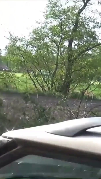 Must-see moment from "German Teen Street Hooker Fuck Outside in Car by Big Black"
